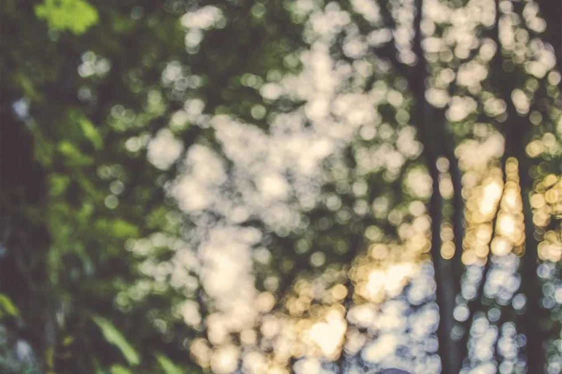 Qui eveniet non doloribus